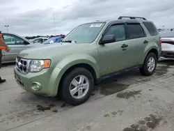 Flood-damaged cars for sale at auction: 2008 Ford Escape XLT