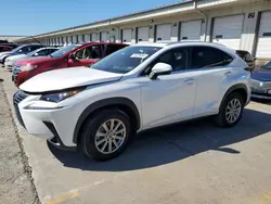 Salvage cars for sale at Louisville, KY auction: 2021 Lexus NX 300H Base