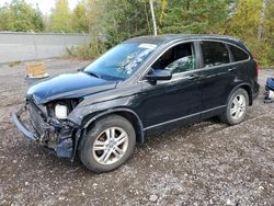 Salvage cars for sale from Copart Cookstown, ON: 2011 Honda CR-V EX