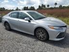 2024 Toyota Camry XLE