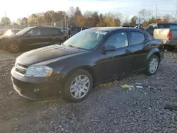 Dodge salvage cars for sale: 2013 Dodge Avenger SE