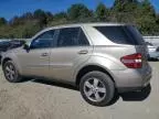 2006 Mercedes-Benz ML 500