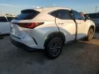 2024 Lexus NX 350H Base