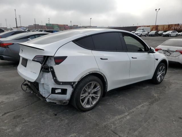 2020 Tesla Model Y