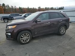 Carros salvage a la venta en subasta: 2012 KIA Sorento SX