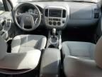 2007 Ford Escape XLT