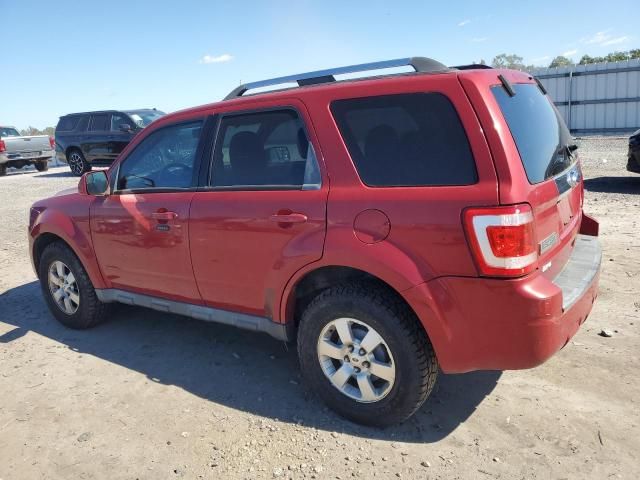 2010 Ford Escape Limited