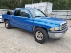 2001 Dodge RAM 1500