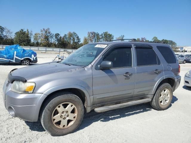 2007 Ford Escape XLT