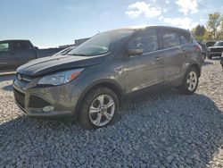 Salvage cars for sale at Wayland, MI auction: 2014 Ford Escape SE