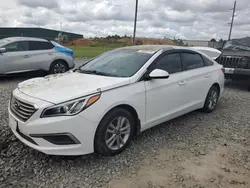 Flood-damaged cars for sale at auction: 2017 Hyundai Sonata SE