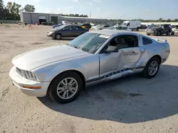 Salvage cars for sale from Copart Harleyville, SC: 2005 Ford Mustang