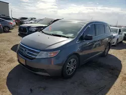 Salvage cars for sale at Tucson, AZ auction: 2012 Honda Odyssey EXL