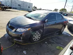 Toyota Vehiculos salvage en venta: 2009 Toyota Corolla Base