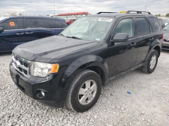 2010 Ford Escape XLT