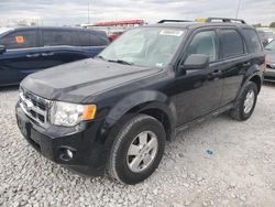 2010 Ford Escape XLT en venta en Cahokia Heights, IL