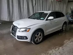 Audi Vehiculos salvage en venta: 2012 Audi Q5 Prestige