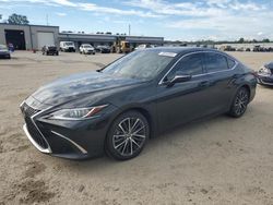 Salvage cars for sale at Harleyville, SC auction: 2024 Lexus ES 350 Base