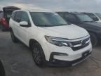 2019 Honda Pilot EXL