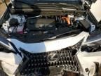 2024 Lexus NX 350H Base