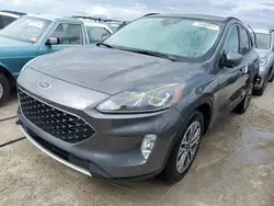 Salvage cars for sale at Arcadia, FL auction: 2022 Ford Escape SEL