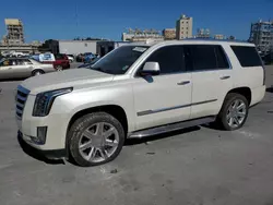 Carros dañados por inundaciones a la venta en subasta: 2015 Cadillac Escalade Luxury