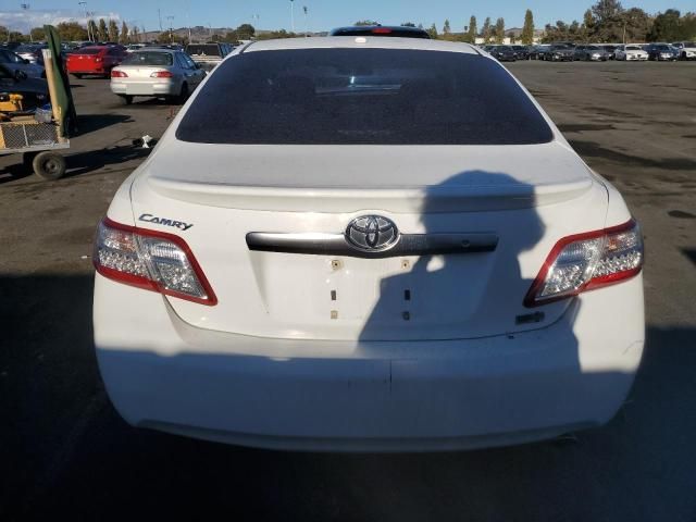 2010 Toyota Camry Hybrid