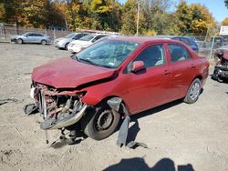 Salvage cars for sale at Baltimore, MD auction: 2010 Toyota Corolla Base