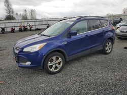 Salvage cars for sale at Arlington, WA auction: 2013 Ford Escape SE