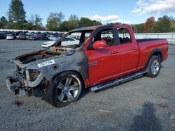 Salvage trucks for sale at Grantville, PA auction: 2013 Dodge RAM 1500 Sport