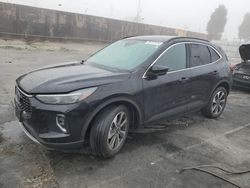 Ford Escape pla salvage cars for sale: 2023 Ford Escape Platinum