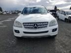 2006 Mercedes-Benz ML 500