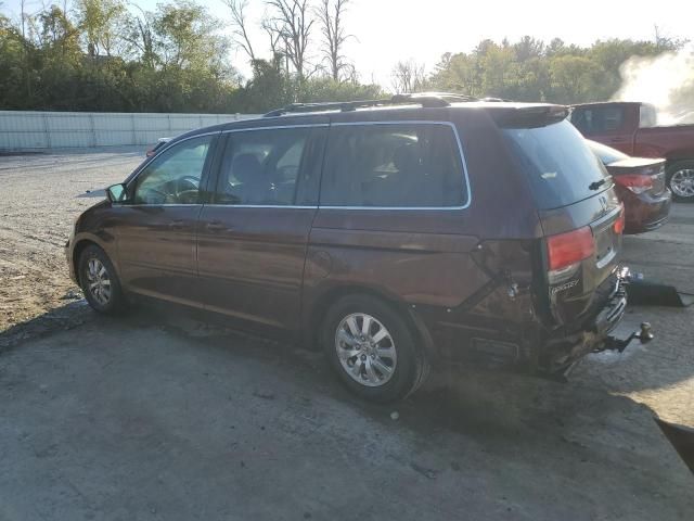 2008 Honda Odyssey EXL