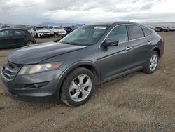 Salvage cars for sale at Helena, MT auction: 2012 Honda Crosstour EXL