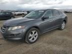 2012 Honda Crosstour EXL