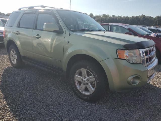 2008 Ford Escape HEV