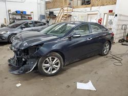 Salvage cars for sale at Ham Lake, MN auction: 2013 Hyundai Sonata SE