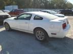 2005 Ford Mustang