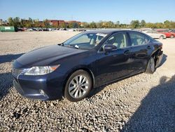 Salvage cars for sale at Columbus, OH auction: 2015 Lexus ES 300H