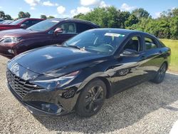 2023 Hyundai Elantra Blue en venta en Riverview, FL