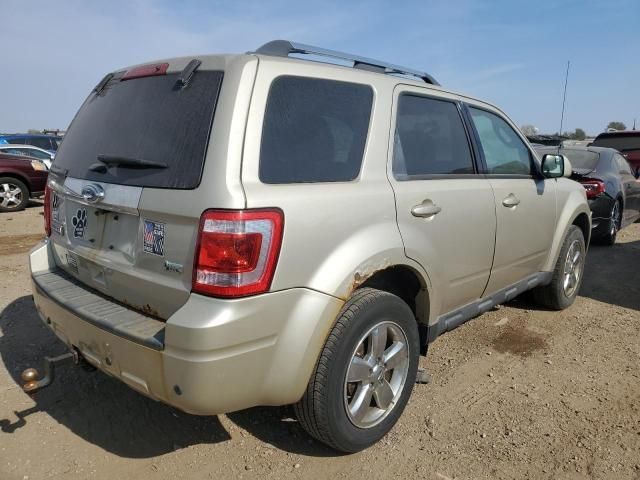 2012 Ford Escape Limited