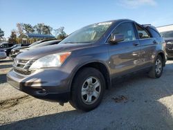 Salvage cars for sale at Spartanburg, SC auction: 2010 Honda CR-V EXL