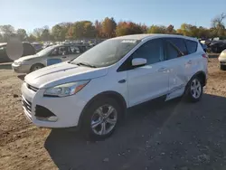 Salvage cars for sale at Chalfont, PA auction: 2014 Ford Escape SE