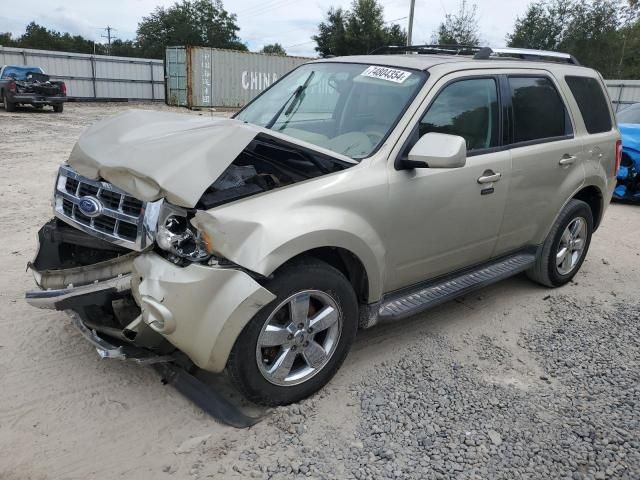 2011 Ford Escape Limited