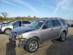 Salvage cars for sale at Des Moines, IA auction: 2008 Ford Escape XLT