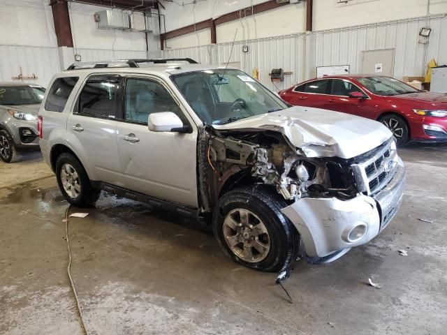 2010 Ford Escape Limited