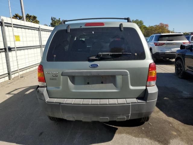 2006 Ford Escape XLT