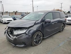 Salvage cars for sale at Los Angeles, CA auction: 2023 Honda Odyssey Elite