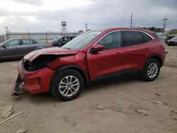 Salvage cars for sale at Chicago Heights, IL auction: 2020 Ford Escape SE