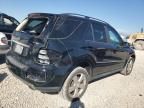 2009 Mercedes-Benz ML 350